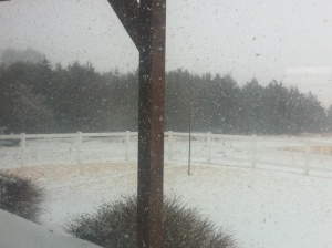 The short-lived blizzard was lots of fun for me...tucked toastily away in the warmth of my sister's home.